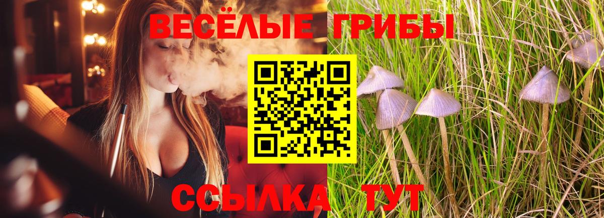 Псилоцибиновые грибы прущие грибы  Вход с VPN  Галлюциногенные грибы Magic Shrooms  Ногинск 